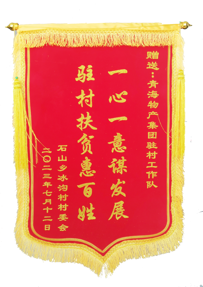 駐村幫扶惠百姓 情滿冰溝暖人心 &mdash;&mdash;省物產(chǎn)集團(tuán)駐村工作隊期滿離任獲贈錦旗