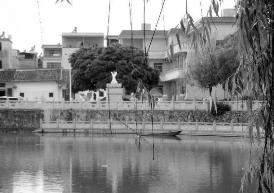 老鄉(xiāng)眼里的李河君：陌生富豪，夫人助其發(fā)財